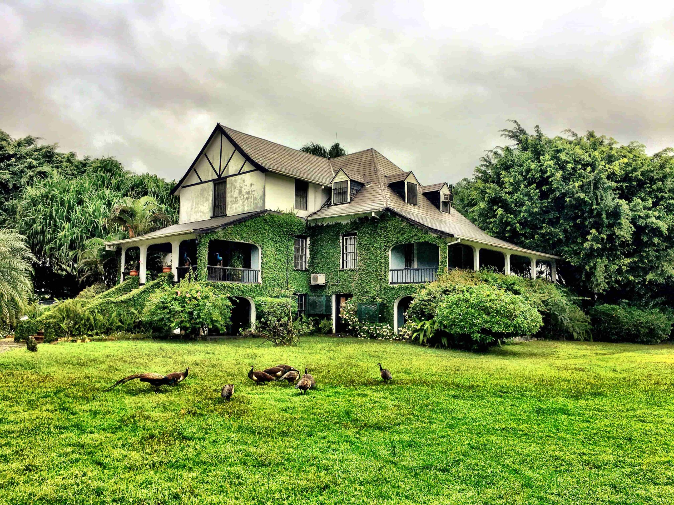 Hampden Estate Symposion