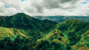 Providence, Haitian Pure Single Rum 2020
