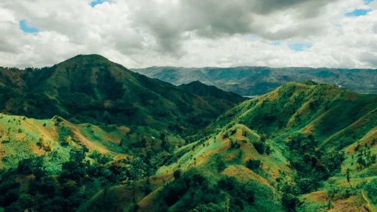 Providence, Haitian Pure Single Rum 2020