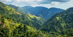 Grönklädda berg på Jamaica